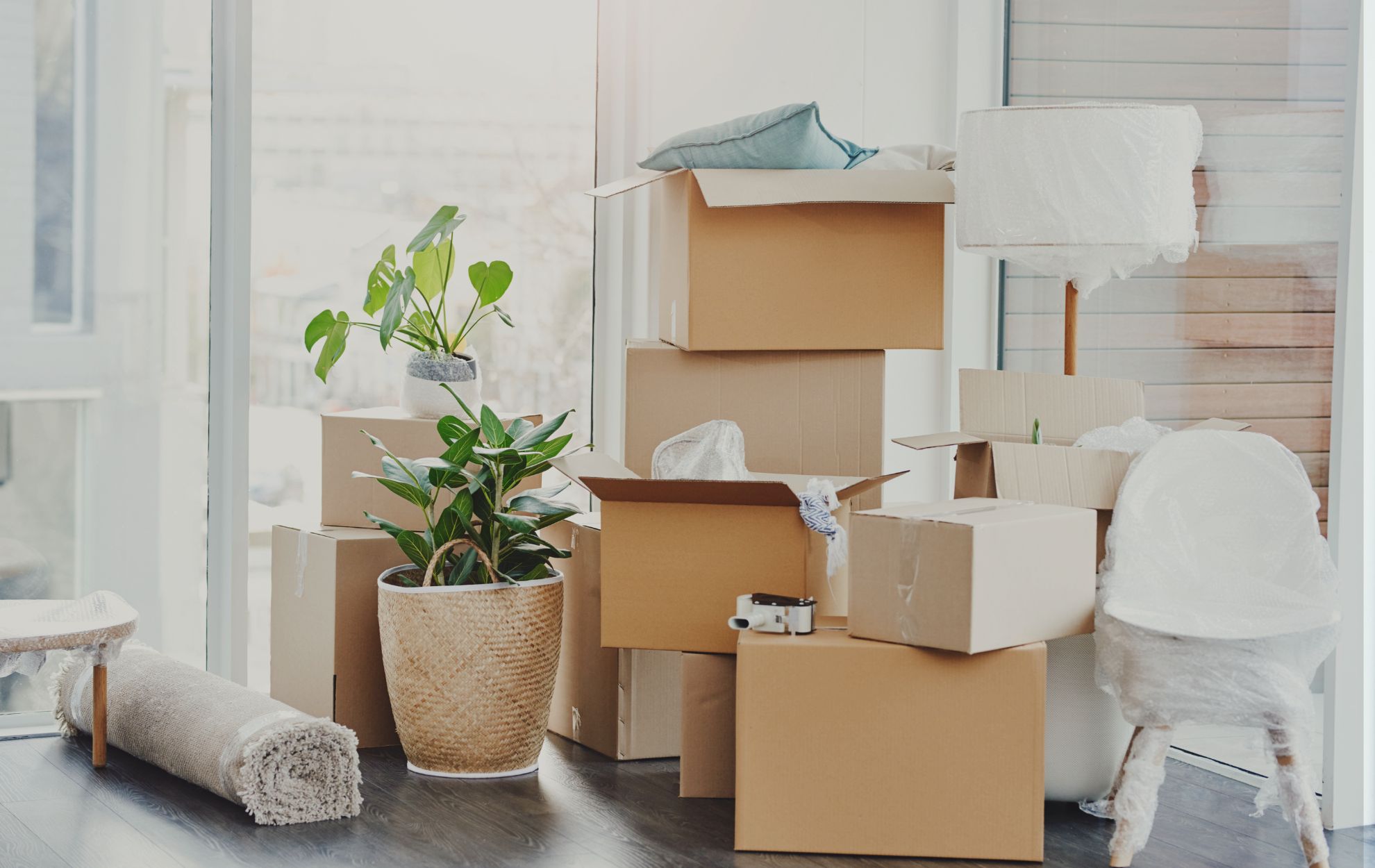 Apartment moving made easy: why BoxNMove is the Right Choice