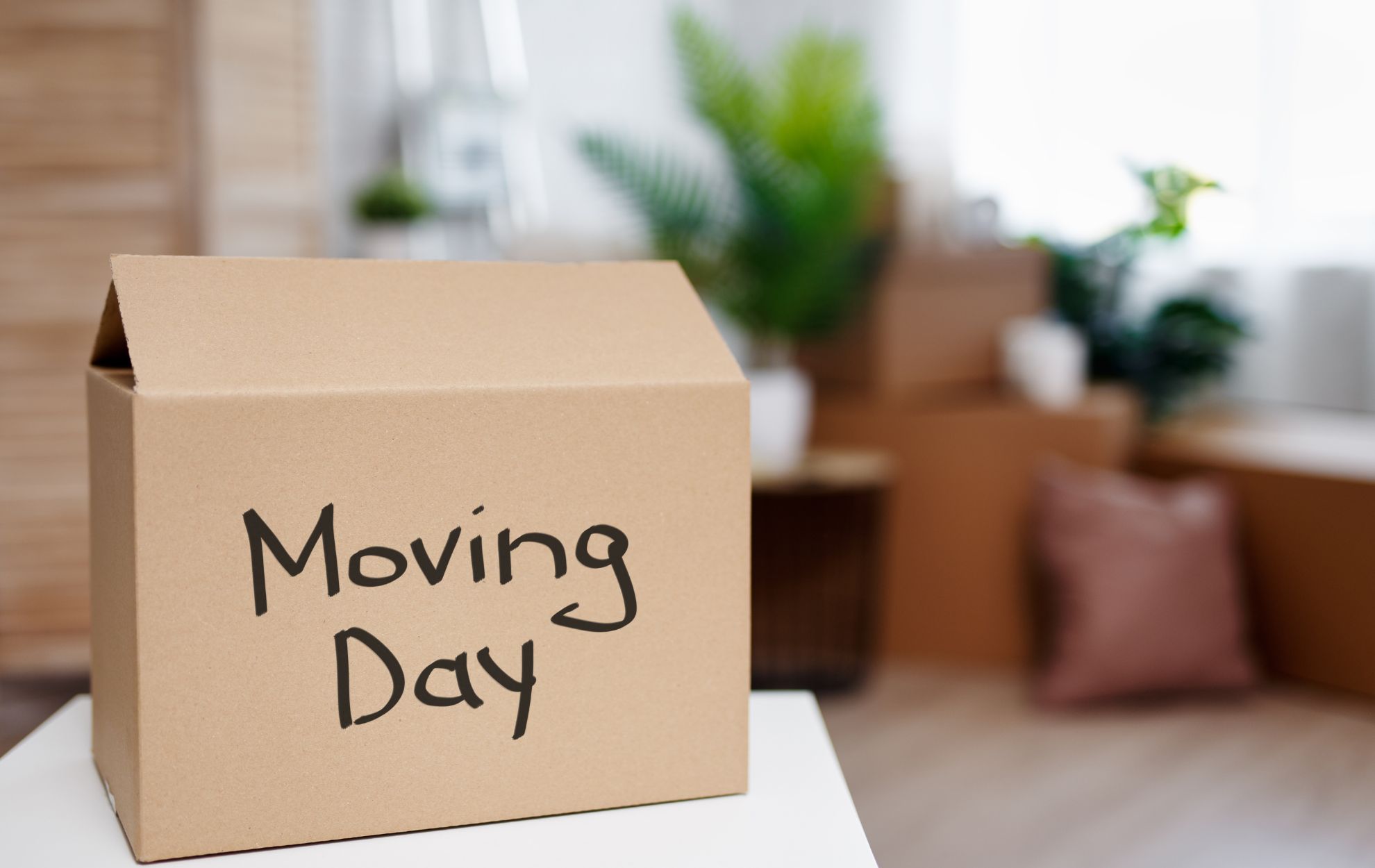 Same-Day and Last-Minute Moves: How to Handle Moving on a Tight Schedule